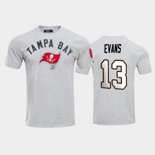 Tampa Bay Buccaneers Mike Evans Gray Team Logo T-Shirt