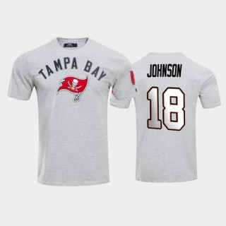 Tampa Bay Buccaneers Tyler Johnson Gray Team Logo T-Shirt